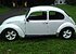 1967 Volkswagen Beetle for sale 101022872